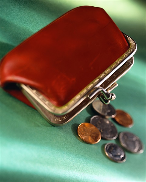 Coin purse